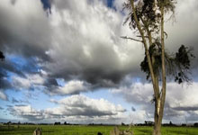 NG28官网：马特塔谈受伤：最后一刻我转过了脸，若没这样做后果不堪设想.