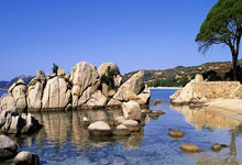 NG28官网：打不死的斧腿郭强，开局25秒被重拳击倒！狂砍36腿绝地逆袭.